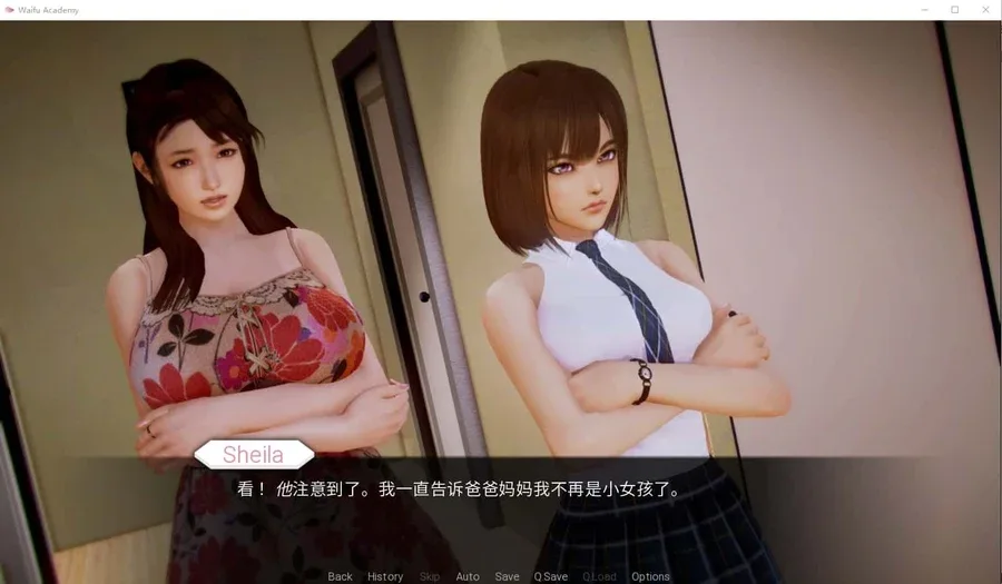 二次元老婆学院_Waifu Academy Waifu Academy游戏官网剧情攻略 封面图