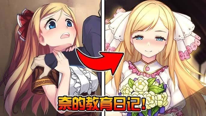 奈的教育日记 中文界面 展示图 5